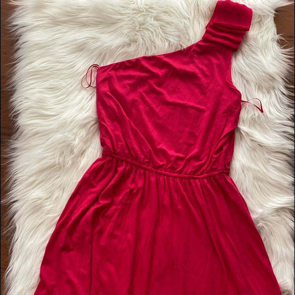 Express One Shoulder Dress
